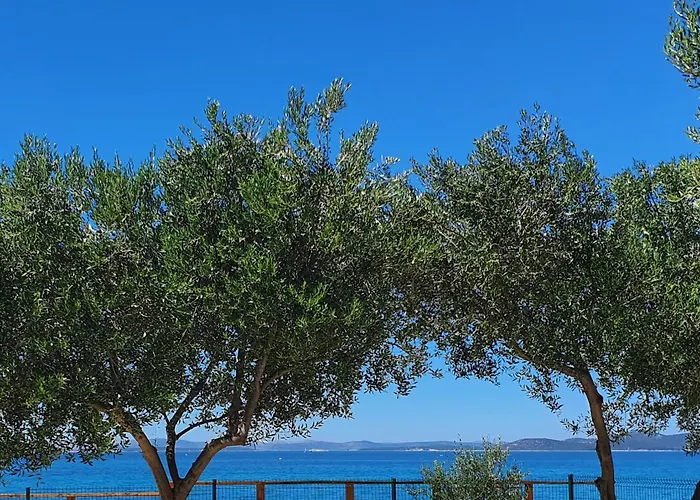 Toni Daire Pakoštane